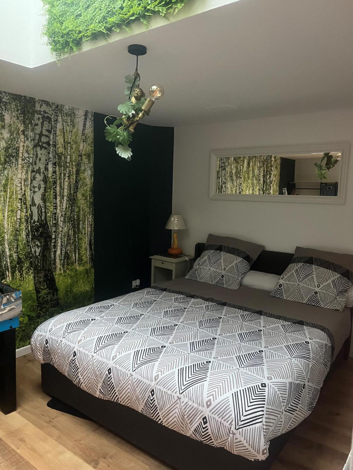 Appartement Centre Ville 加来 外观 照片