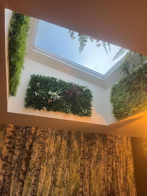 Appartement Centre Ville 加来 外观 照片